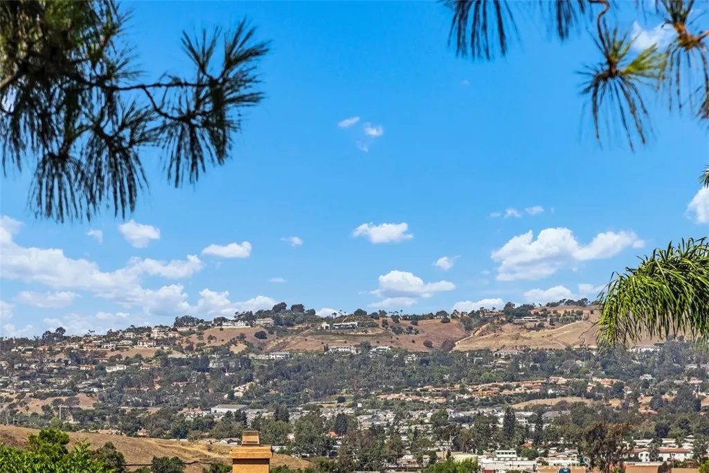 27477 Paseo Amador, San Juan Capistrano, California 92675 home-pic-37