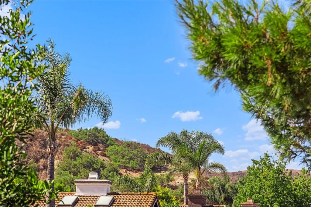 27477 Paseo Amador, San Juan Capistrano, California 92675 home-pic-43