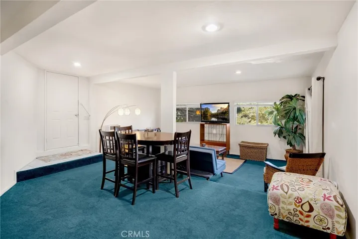 bottom level living room