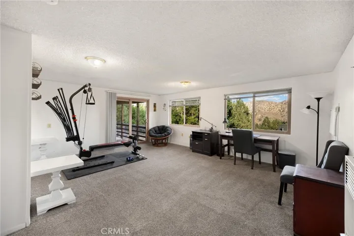 bottom level office/gym