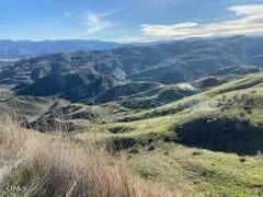 IMG_4213_20250803_120119