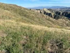 IMG_4221_20250803_120119
