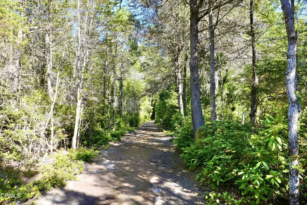 Walking Trail behind house
