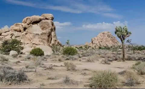 149