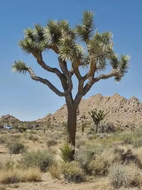 141