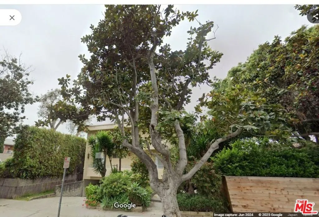 818 7th Street 9, Santa Monica, California 90403, 2 Bedrooms Bedrooms, ,2 BathroomsBathrooms,Residential Lease,For Rent,7th,25580551