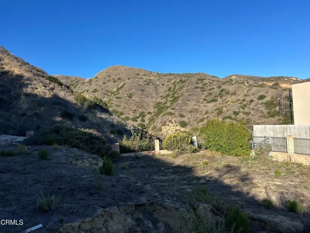 1690 Buena Vista Fred 3