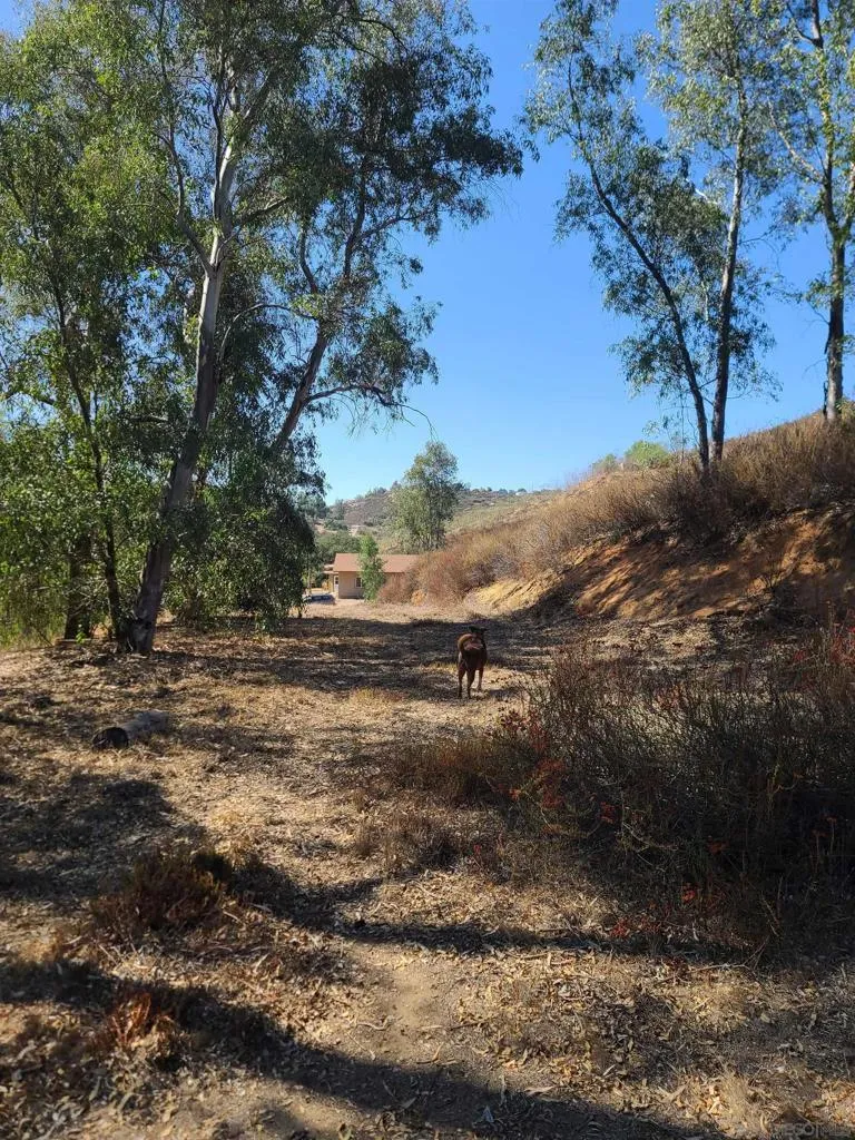 19360 Camino Vista Rd., Ramona, California 92065 home-pic-8