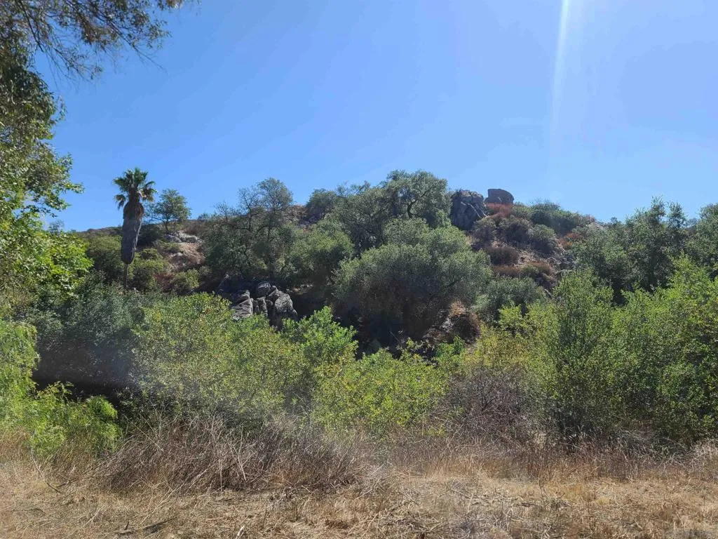 19360 Camino Vista Rd., Ramona, California 92065 home-pic-19