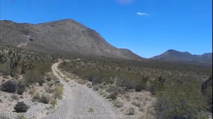 Road off Clark Mountain Road Leading to