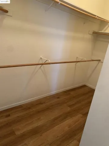Spacious closet featuring dark wood-type flooring