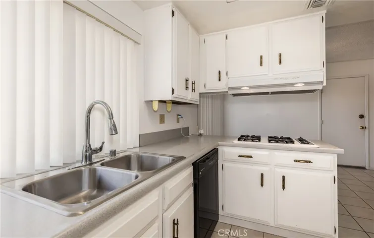 SS Sink & Garden View