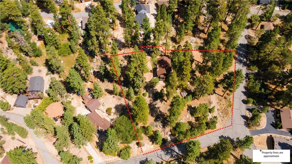 39342 Mohawk Drive, Fawnskin, California 92333 home-pic-46