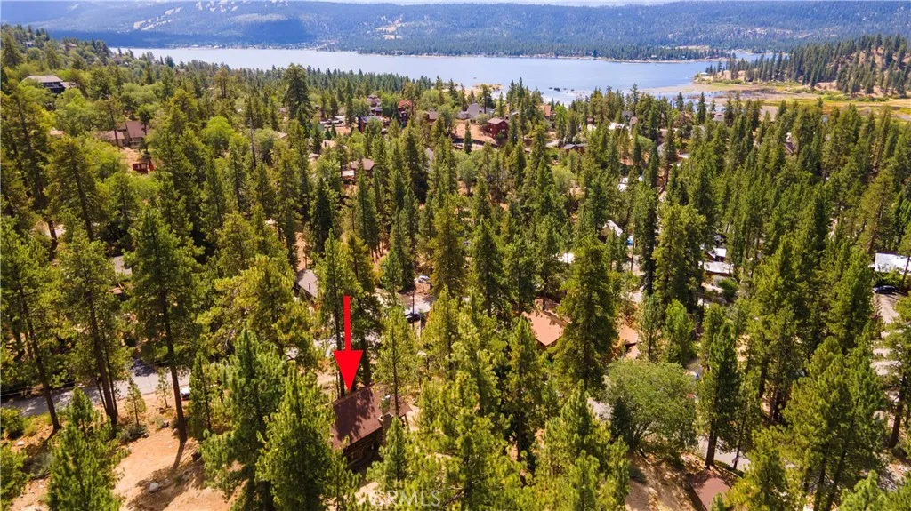 39342 Mohawk Drive, Fawnskin, California 92333 home-pic-44