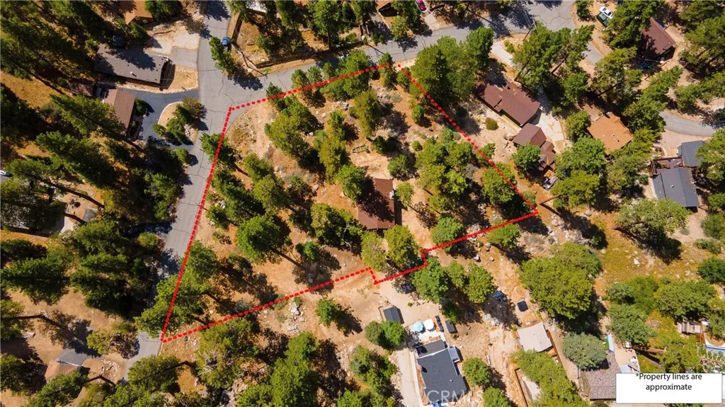 39342 Mohawk Drive, Fawnskin, California 92333 home-pic-45