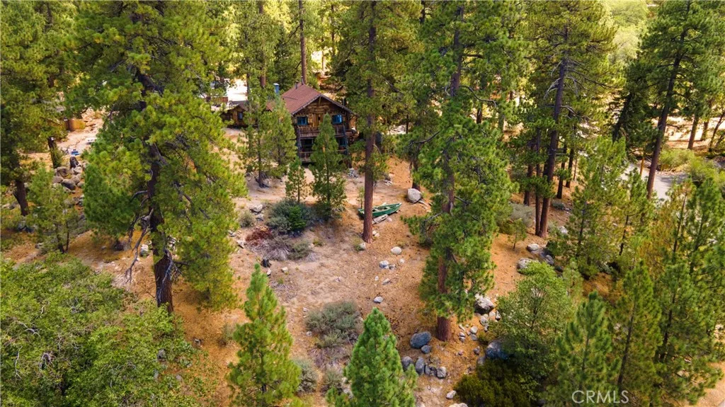 39342 Mohawk Drive, Fawnskin, California 92333 home-pic-43