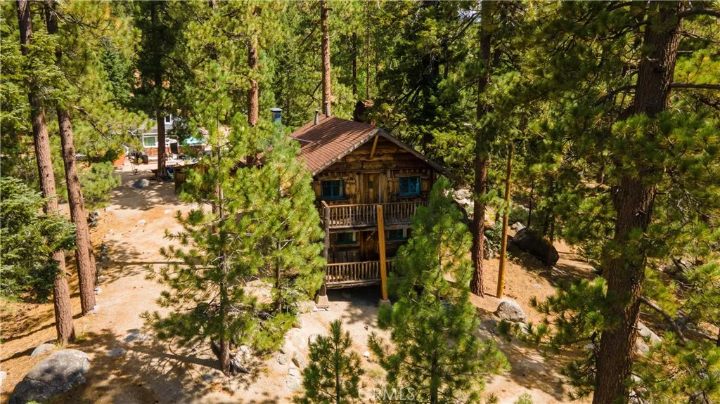 39342 Mohawk Drive, Fawnskin, California 92333 home-pic-1