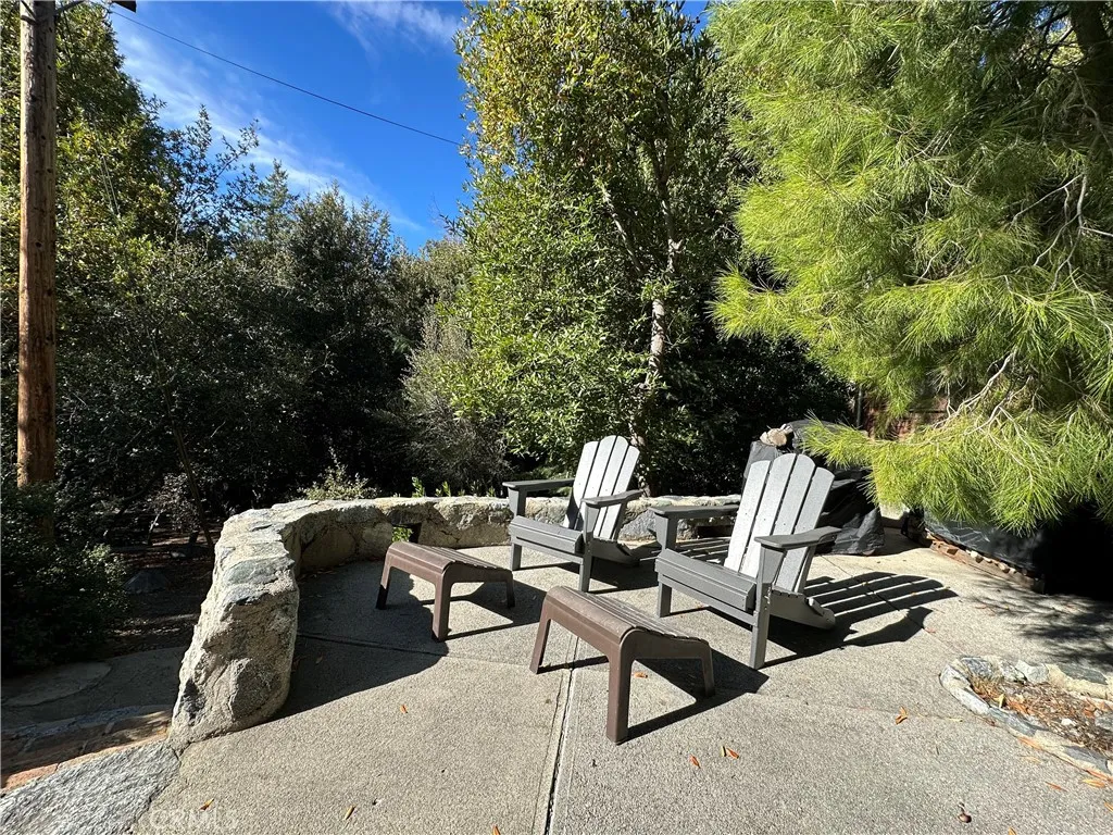 49 Ice House Canyon Road, Mt Baldy, California 91759 home-pic-28
