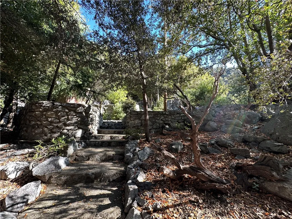 49 Ice House Canyon Road, Mt Baldy, California 91759 home-pic-6