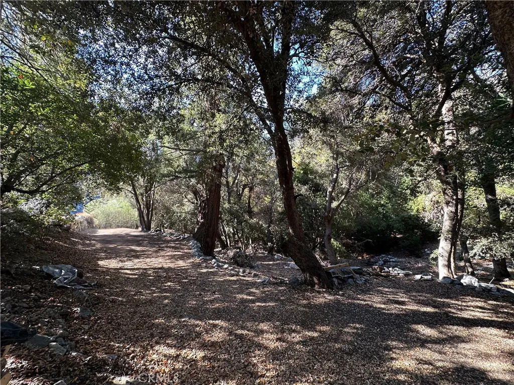 49 Ice House Canyon Road, Mt Baldy, California 91759 home-pic-31