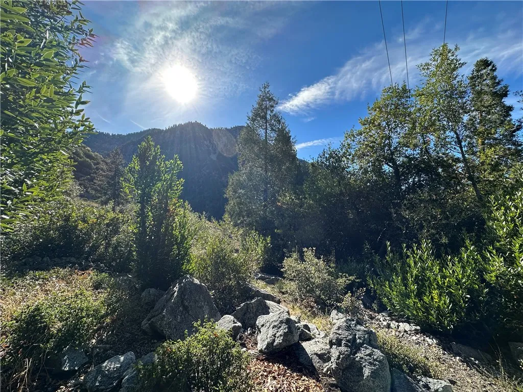 49 Ice House Canyon Road, Mt Baldy, California 91759 home-pic-22