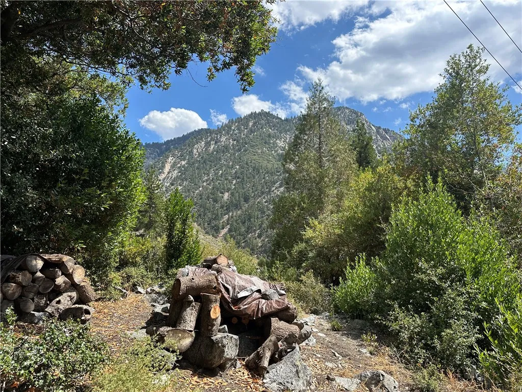 49 Ice House Canyon Road, Mt Baldy, California 91759 home-pic-21