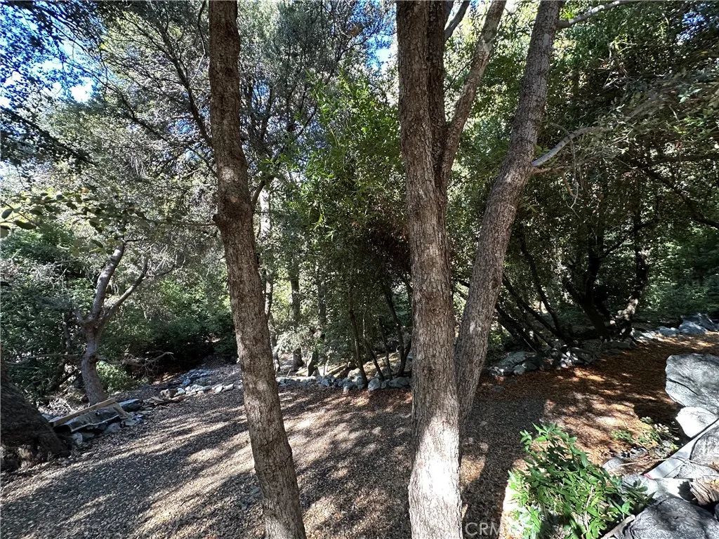 49 Ice House Canyon Road, Mt Baldy, California 91759 home-pic-29