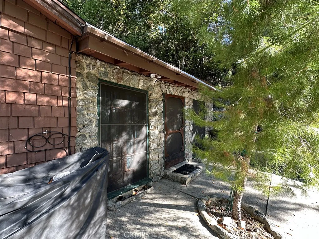 49 Ice House Canyon Road, Mt Baldy, California 91759 home-pic-4