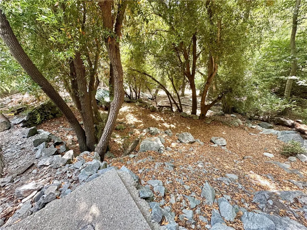 49 Ice House Canyon Road, Mt Baldy, California 91759 home-pic-20