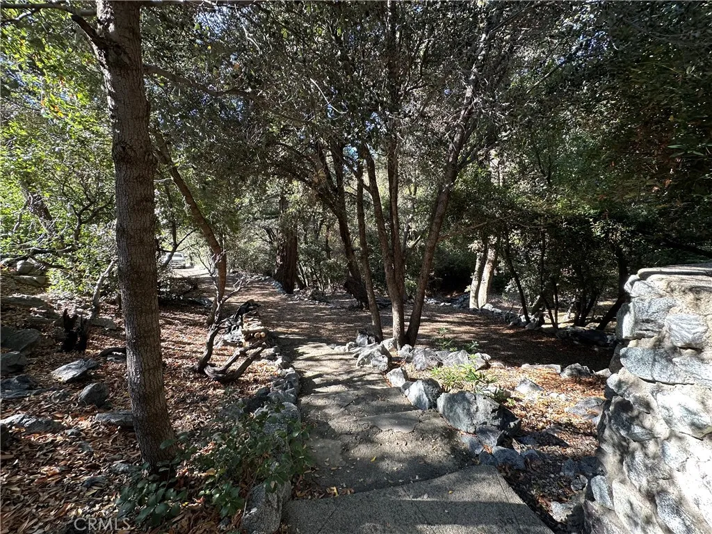 49 Ice House Canyon Road, Mt Baldy, California 91759 home-pic-5