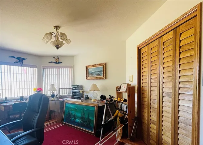 Office / Downstairs Bedroom