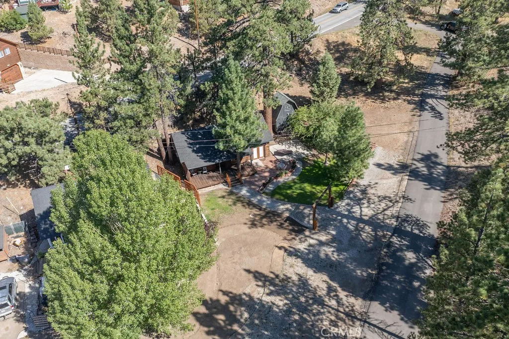 39335 N Shore Drive, Fawnskin, California 92333 home-pic-9