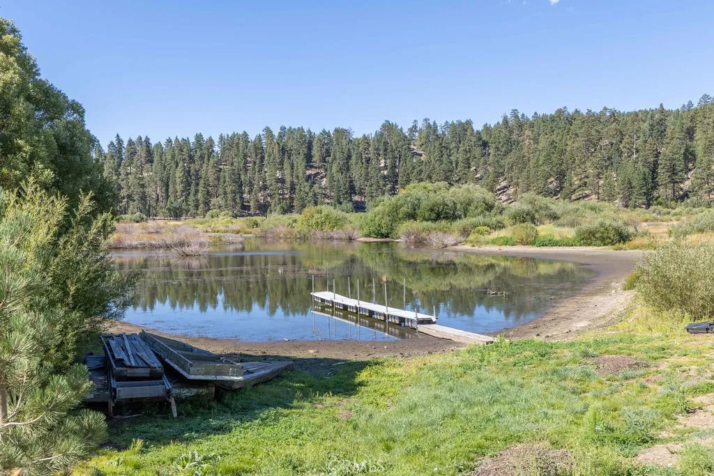 39335 N Shore Drive, Fawnskin, California 92333 home-pic-8