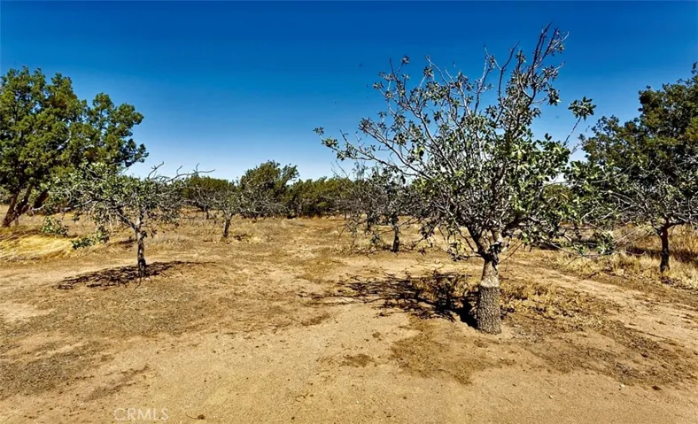 13152 Mission Street, Oak Hills, California 92344
