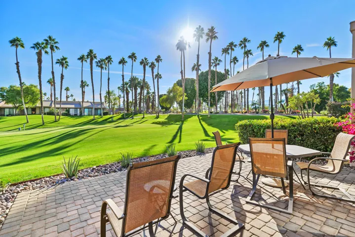 76495 Daffodil_Patio1