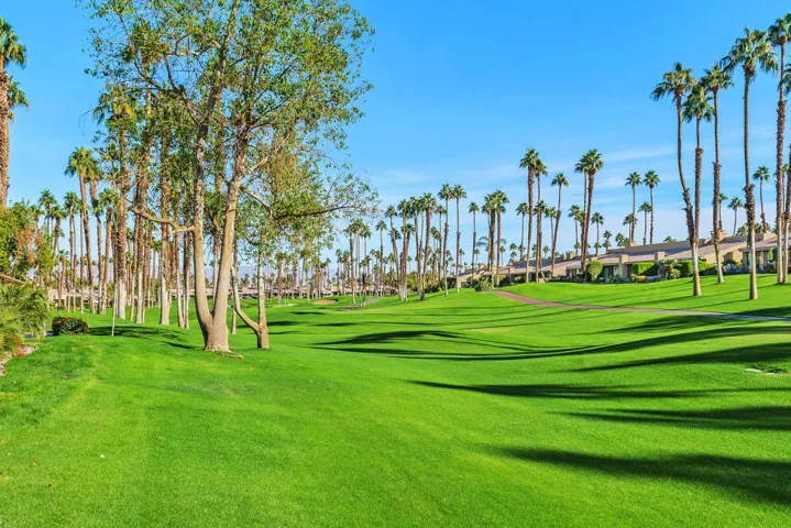 76495 Daffodil_Patio view