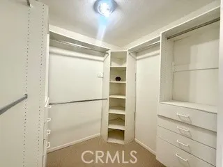 Plenty of storage in the primary bedroom walk-in closet.