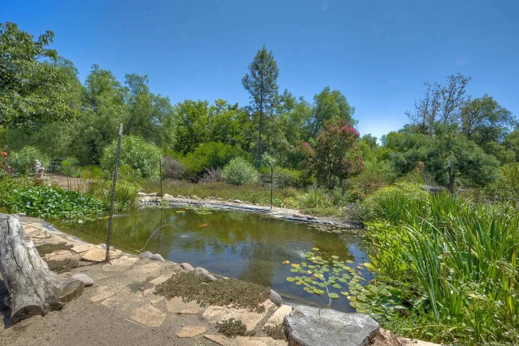 32920 Luiseno Circle Dr, Pauma Valley, California 92061 home-pic-48