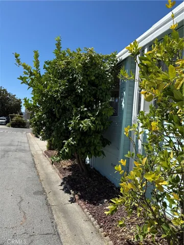Left side of mobile home