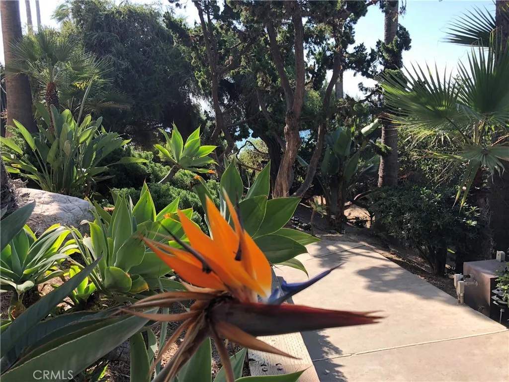 PATH TO PARADISE