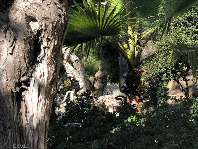 COMMON AREA GARDEN
