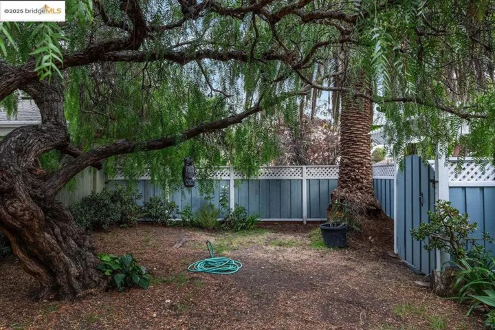 View of fenced backyard