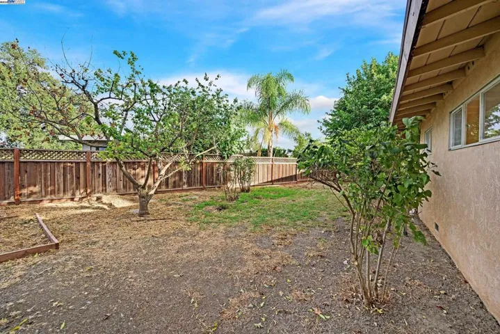 Side Yard