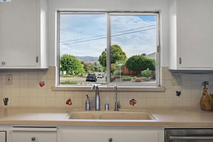 Picture Views from the Kitchen Window