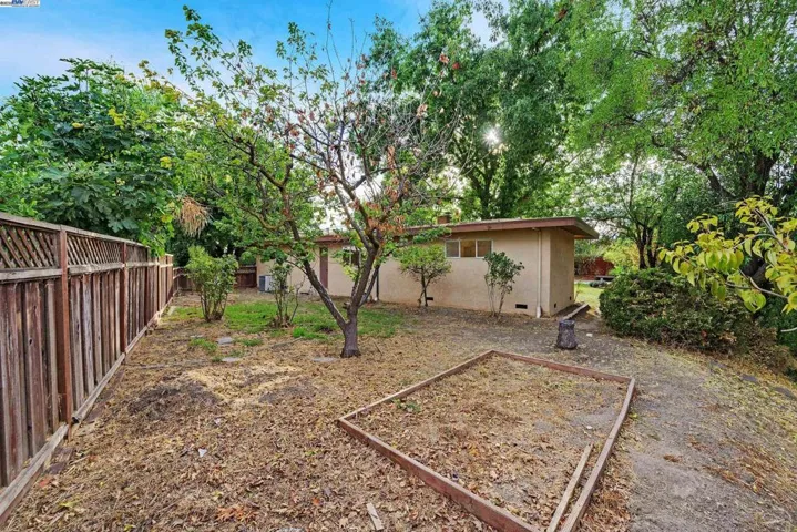 Side Yard