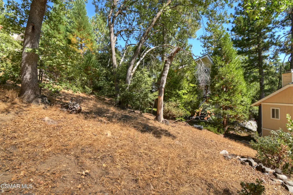 27618 W Shore Road, Lake Arrowhead, California 92352 home-pic-45