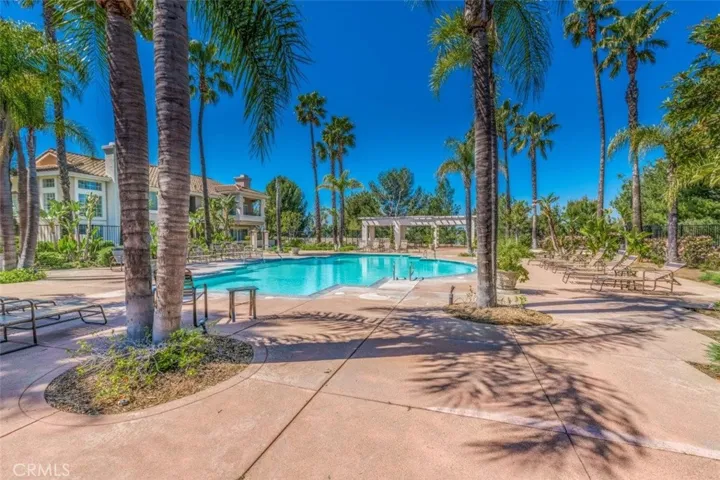 Gorgeous Pool for swimming and relaxing!