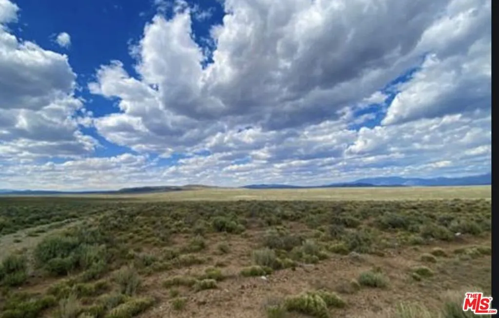 Taos Cielito Lindo