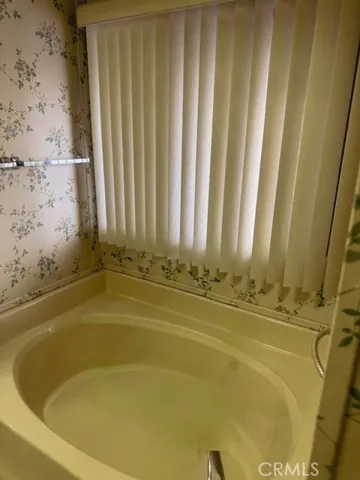primary bath tub