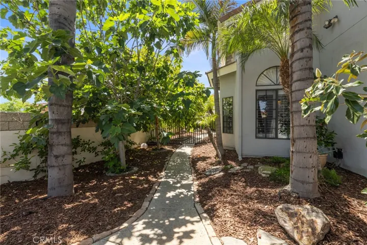 Access to the front door/front porch & driveway